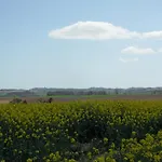 Escapade Lauragaise