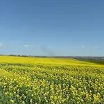 Escapade Lauragaise * Saint-Félix-Lauragais