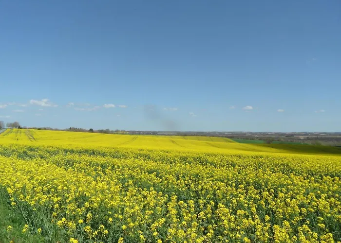 Escapade Lauragaise * Saint-Felix-Lauragais